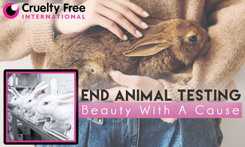 🐝 Bee Venom Detox Foot Patches – Buy 1 Get 1 FREE! ⭐️⭐️⭐️⭐️⭐️4.9/5 (20 patches)